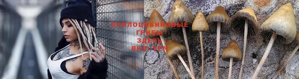 а пвп мука Нязепетровск