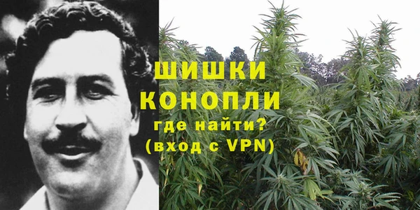 спиды Пенза