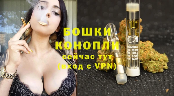 шишки Нягань