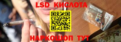 mdpv Гусев