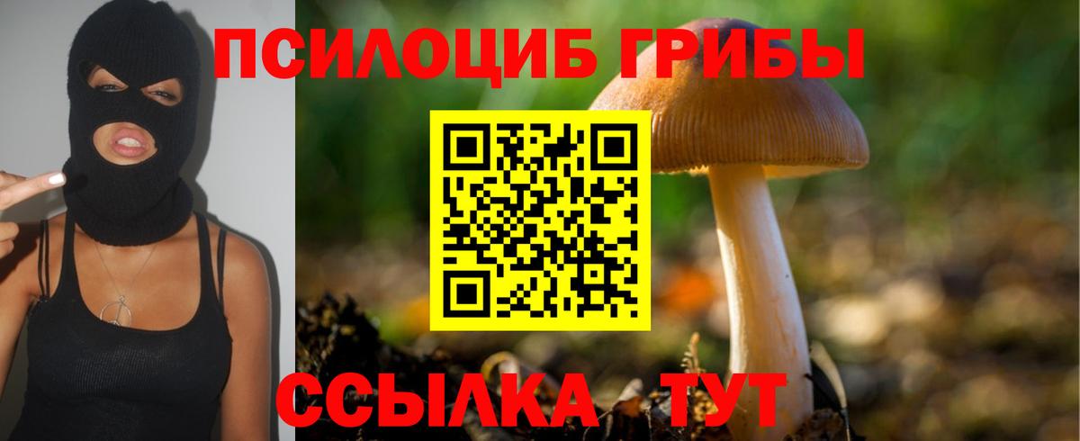 Псилоцибиновые грибы Magic Shrooms  купить  сайты  Вход с VPN  Сорочинск  Псилоцибиновые грибы мицелий 