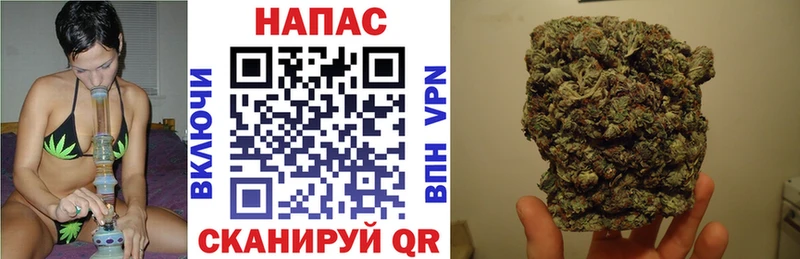 Бошки марихуана конопля  как найти закладки  Сорочинск 